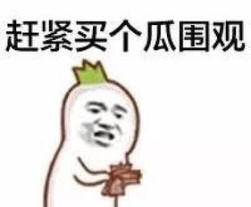 娱乐吃瓜君熊猫头,娱乐吃瓜君带你领略萌宠魅力