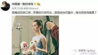 娱乐吃瓜刘诗诗,娱乐圈的甜蜜瓜果，甜蜜人生