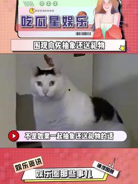 娱乐吃瓜酱饿了么,揭秘美食与娱乐的完美融合