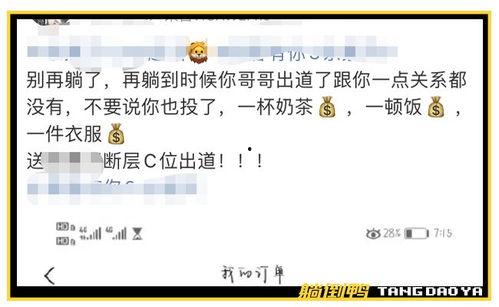 娱乐饭圈吃瓜直播,直播吃瓜背后的狂欢与争议