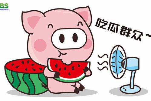 娱乐吃瓜说,吃瓜群众背后的故事